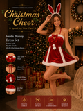 Christmas Cheer - Santa Bunny Dress Set